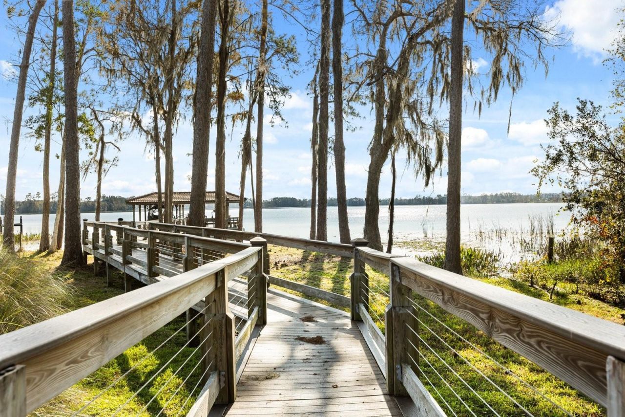 10633 Lago Bella Drive, Orlando, FL 32832 Photo