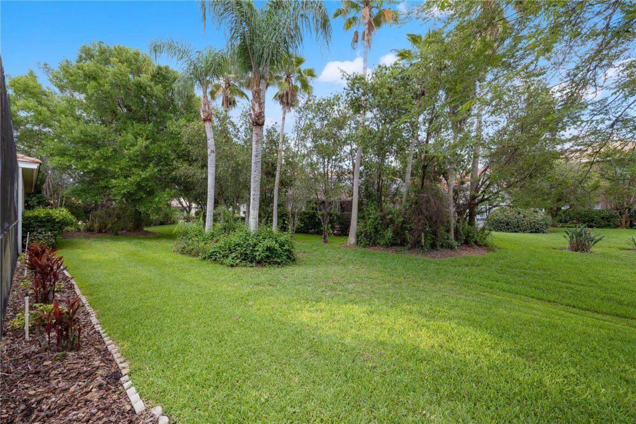 17861 Arbor Greene Drive , Tampa, FL 33647 Photo