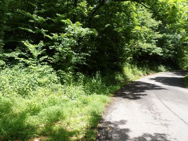 0 East Blue Creek Road , Mc Ewen, TN 37101