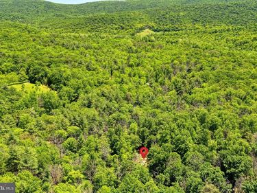 Sugar Hill Road TBD , MAURERTOWN, VA 22644
