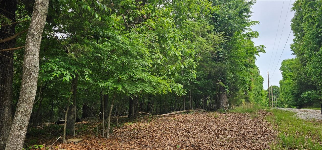 14215 Frisco Springs Road , Lowell, AR 72745 Main Photo