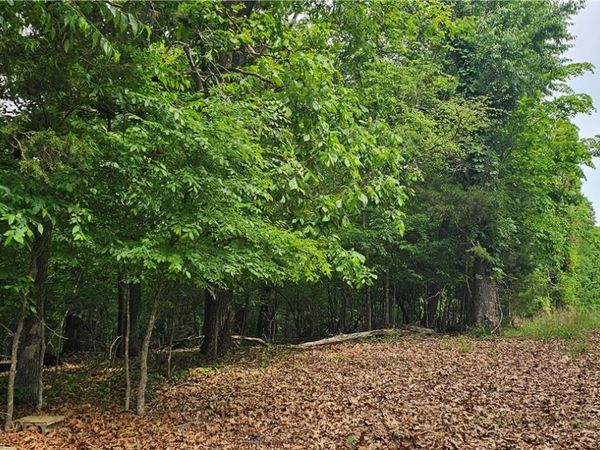 14215 Frisco Springs Road , Lowell, AR 72745