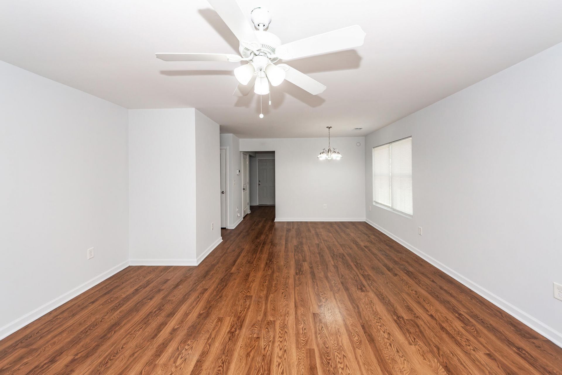 211 White Street Photo 6