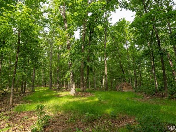 TBD Wayne , Piedmont, MO 63957
