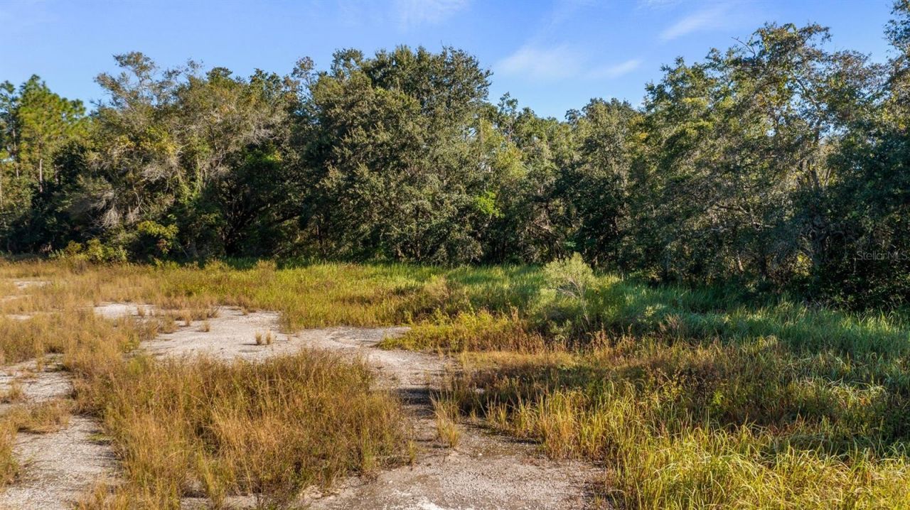 23158 Loop Road , Groveland, FL 34736 Photo