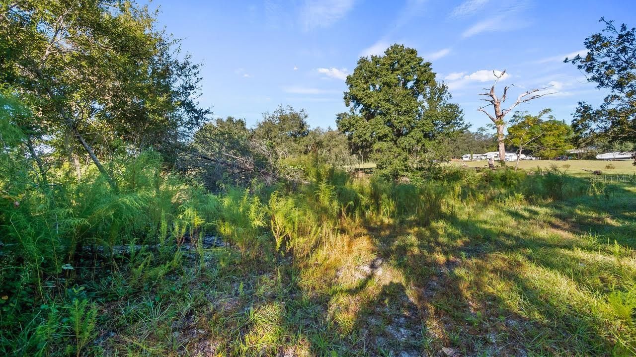23158 Loop Road , Groveland, FL 34736 Photo