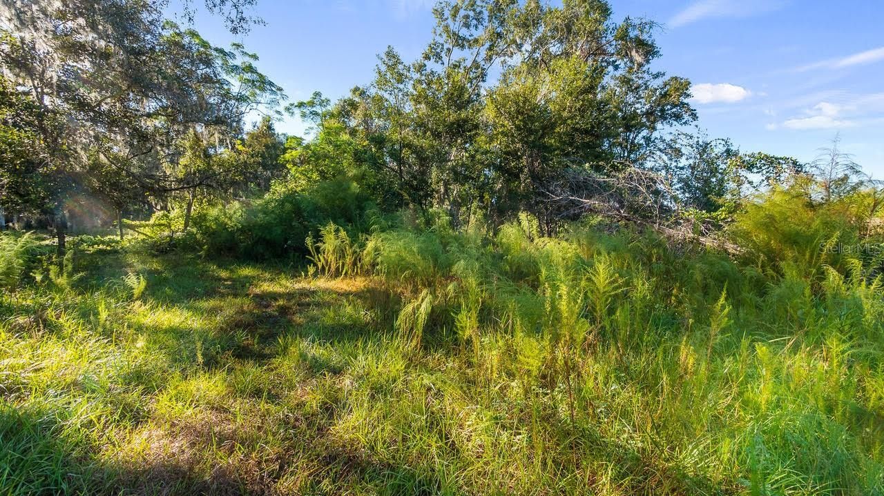 23158 Loop Road , Groveland, FL 34736 Photo