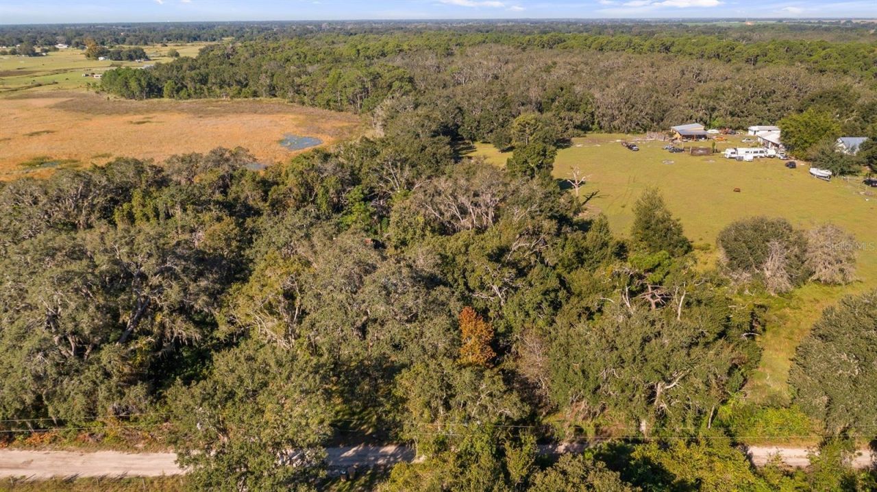 23158 Loop Road , Groveland, FL 34736 Photo