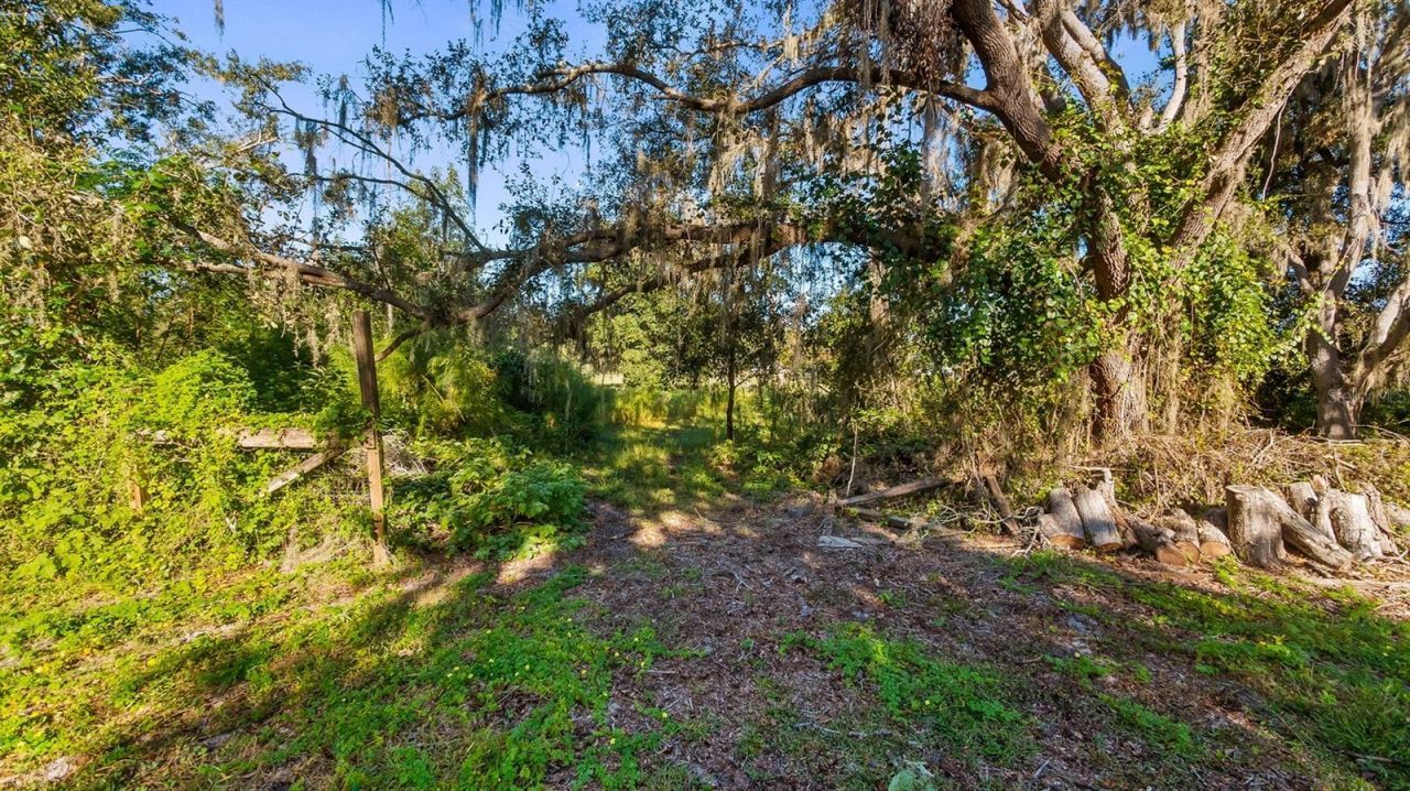 23158 Loop Road , Groveland, FL 34736 Photo