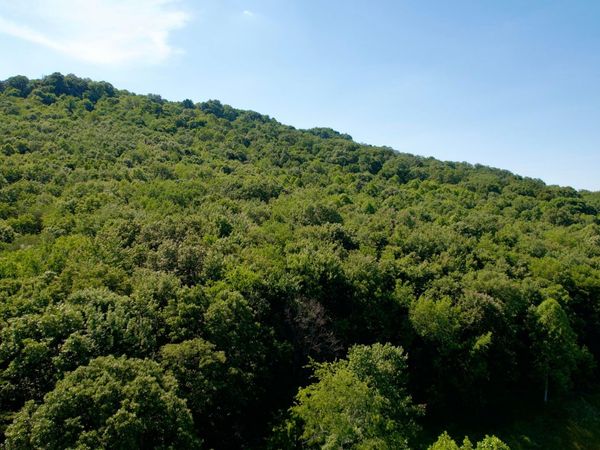 0 State Route 104, Lucasville, OH 45648