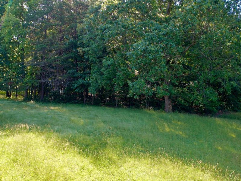 0 State Route 104, Lucasville, OH 45648 Photo 6