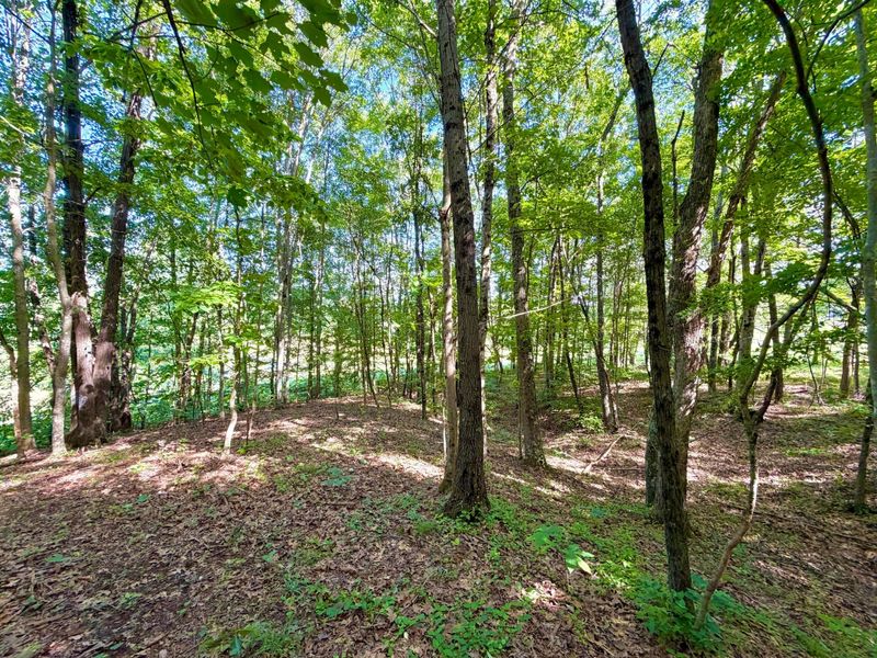 0 State Route 104, Lucasville, OH 45648 Photo 8