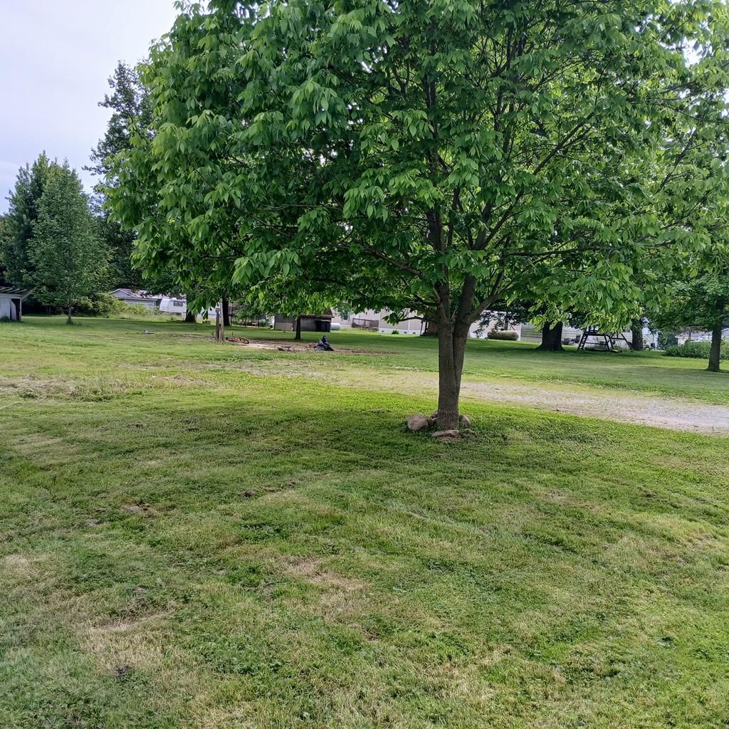 Gifford St, Greenwich, OH 44837 Main Photo