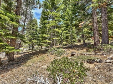 1933 Apalachee Drive, South Lake Tahoe, CA 96150 Photo