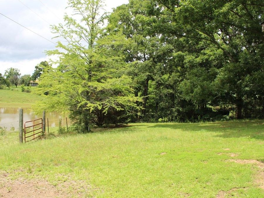 Property Image 26