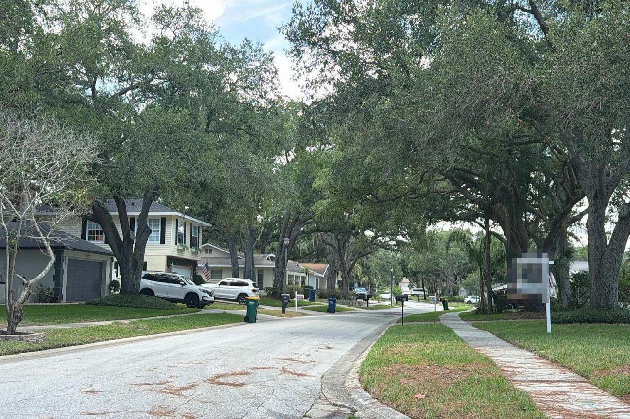 904 High View Drive, Other, FL 34683 Photo