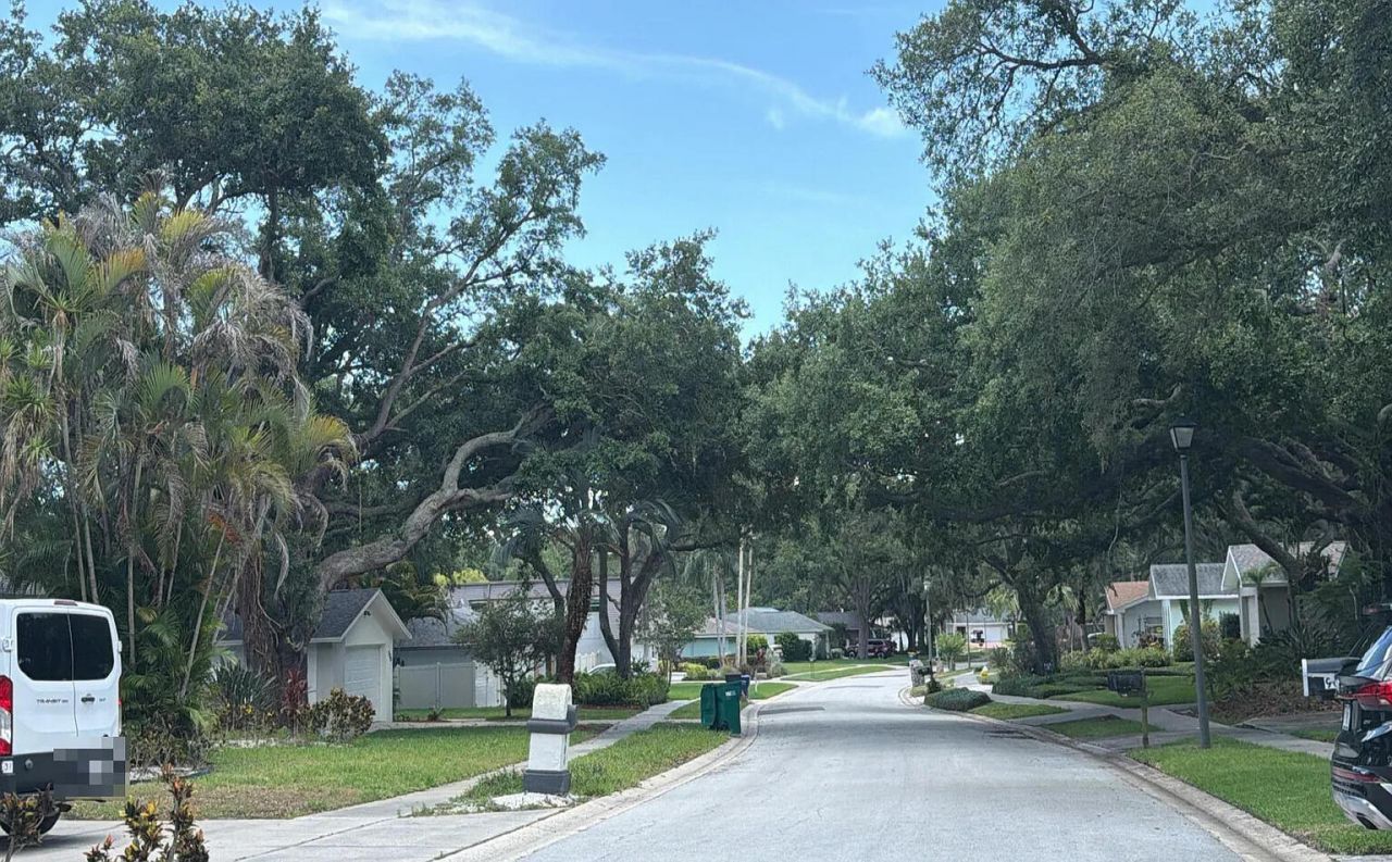904 High View Drive, Other, FL 34683 Photo