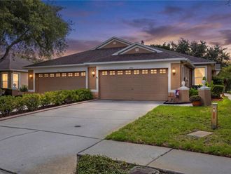 19109 WHITE WING PLACE  Tampa, FL 33647
