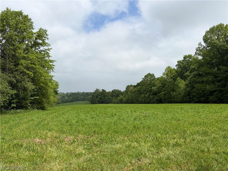 8416 Township Road 551, Shreve, OH 44676 Photo 2