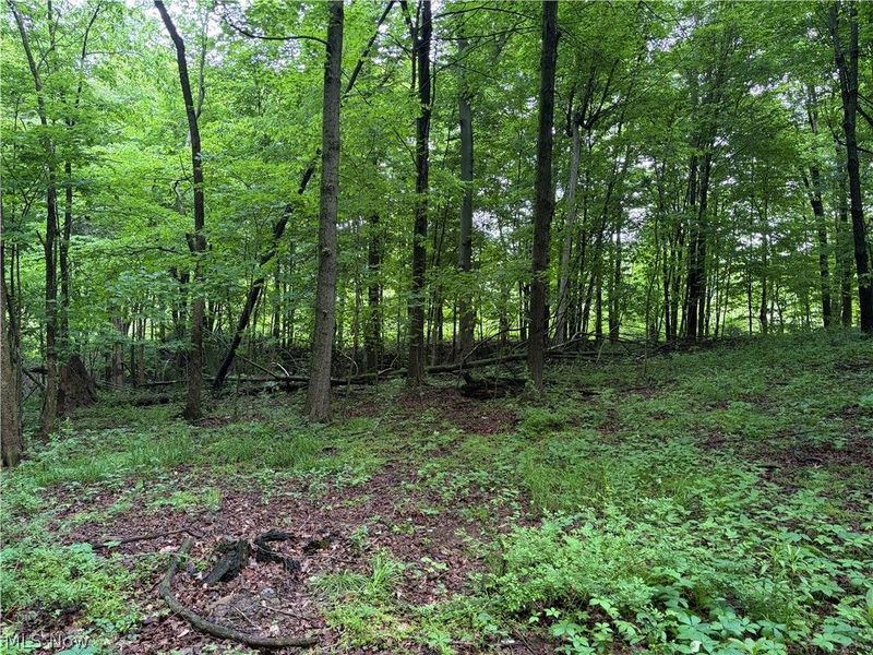 8416 Township Road 551, Shreve, OH 44676 Photo 5