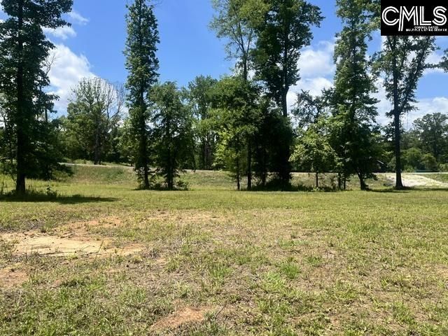 133 Lands End Lane  Photo 10