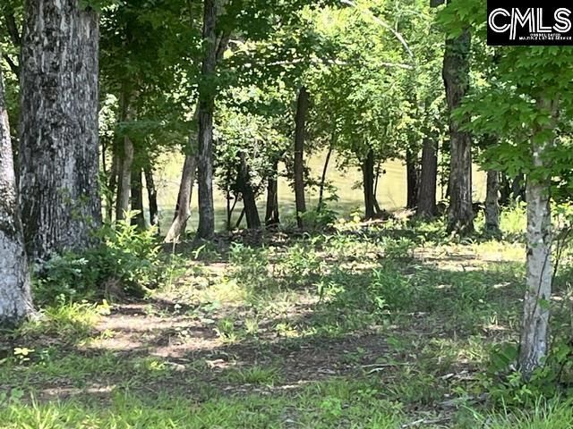 133 Lands End Lane  Photo 11