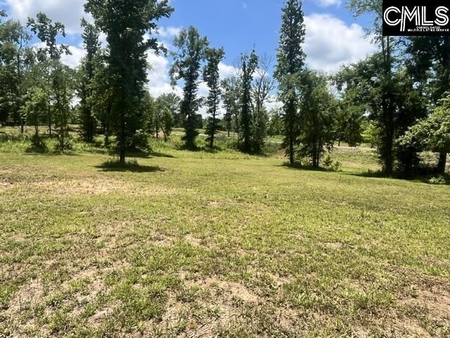 133 Lands End Lane  Photo 4