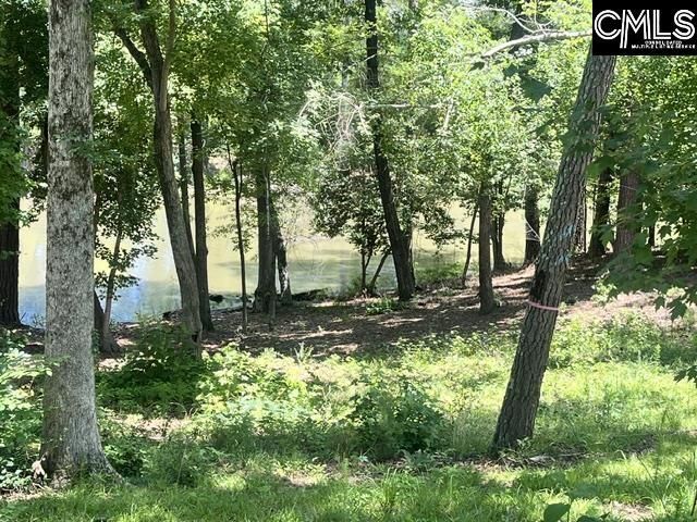 133 Lands End Lane  Photo 5