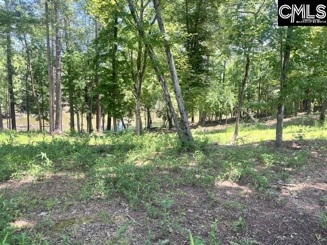 133 Lands End Lane  Photo 6