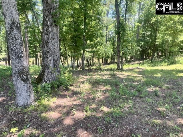 133 Lands End Lane  Photo 7