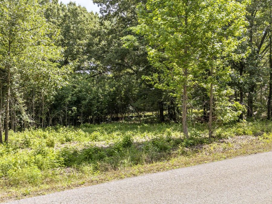 Property Image 16