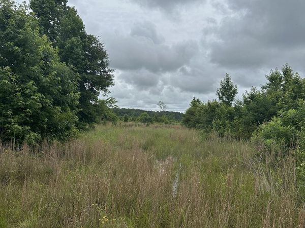 0 E County Road 214, Selma, AL 36701