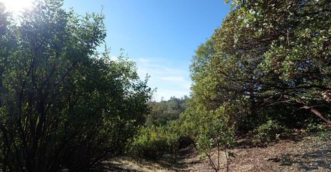 Sutter Highlands Dr., Sutter Creek, CA 95685 Photo