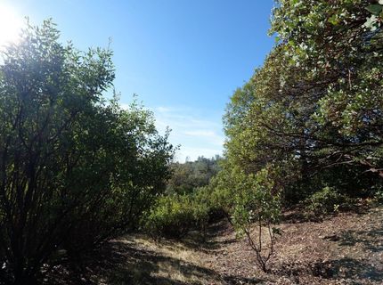 Sutter Highlands Dr., Sutter Creek, CA 95685 Photo