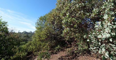 Sutter Highlands Dr., Sutter Creek, CA 95685 Photo