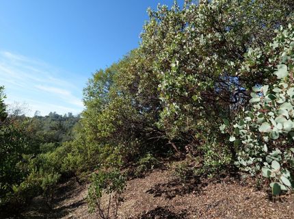 Sutter Highlands Dr., Sutter Creek, CA 95685 Photo