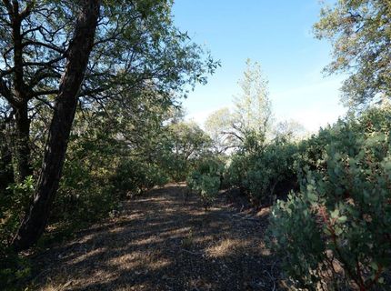 Sutter Highlands Dr., Sutter Creek, CA 95685 Photo