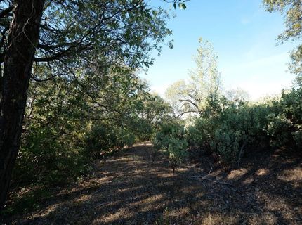 Sutter Highlands Dr., Sutter Creek, CA 95685 Photo