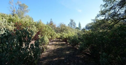 Sutter Highlands Dr., Sutter Creek, CA 95685 Photo