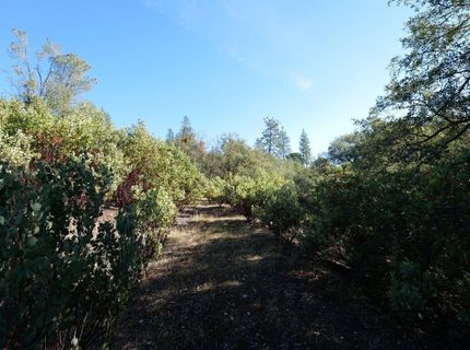 Sutter Highlands Dr., Sutter Creek, CA 95685 Photo