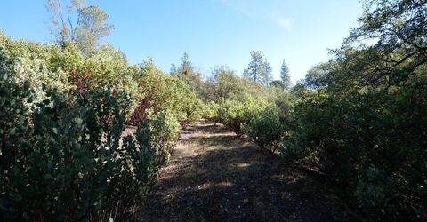 Sutter Highlands Dr., Sutter Creek, CA 95685 Photo