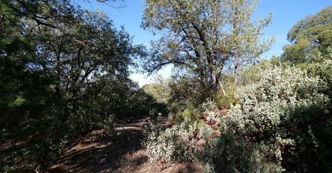 Sutter Highlands Dr., Sutter Creek, CA 95685 Photo