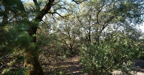 Sutter Highlands Dr., Sutter Creek, CA 95685 Photo