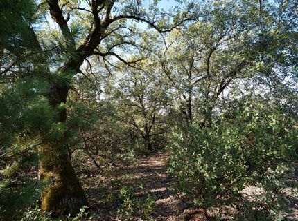 Sutter Highlands Dr., Sutter Creek, CA 95685 Photo