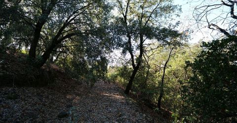 Sutter Highlands Dr., Sutter Creek, CA 95685 Photo