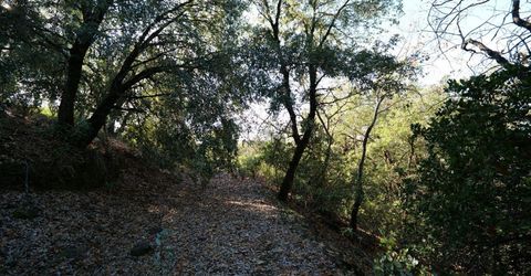 Sutter Highlands Dr., Sutter Creek, CA 95685 Photo