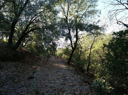 Sutter Highlands Dr., Sutter Creek, CA 95685 Photo