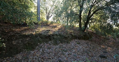 Sutter Highlands Dr., Sutter Creek, CA 95685 Photo