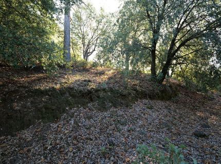 Sutter Highlands Dr., Sutter Creek, CA 95685 Photo
