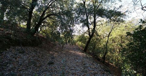 Sutter Highlands Dr., Sutter Creek, CA 95685 Photo